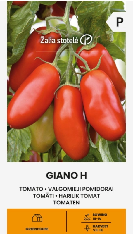 Pomidor Giano H odmiana hybrydowa typu San Marzano nasiona 10 Žalia stotelė